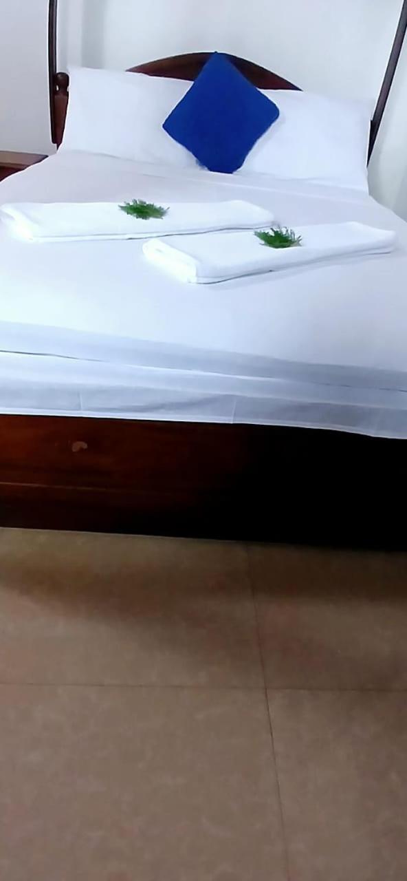 Oviniru Beach Hotel ネゴンボ エクステリア 写真